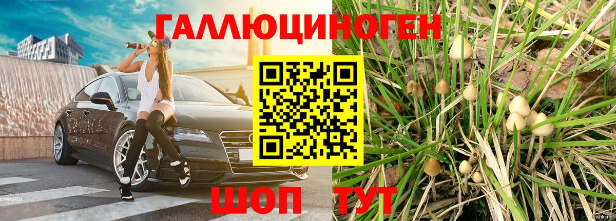 Галлюциногенные грибы Cubensis  Вход с VPN  купить наркотики сайты  Вольск 